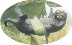 Shaffer Bronze Sculptures